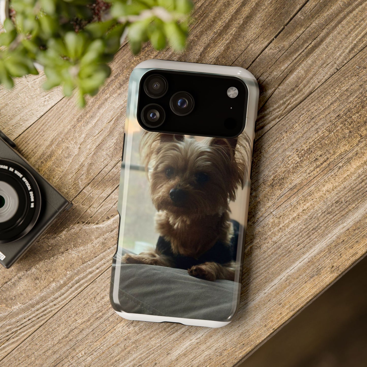 Yorkie Impact-Resistant Phone Cases