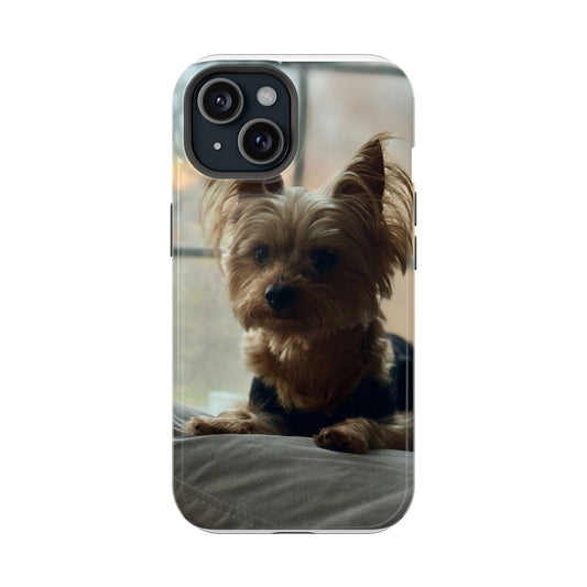 Yorkie Impact-Resistant Phone Cases