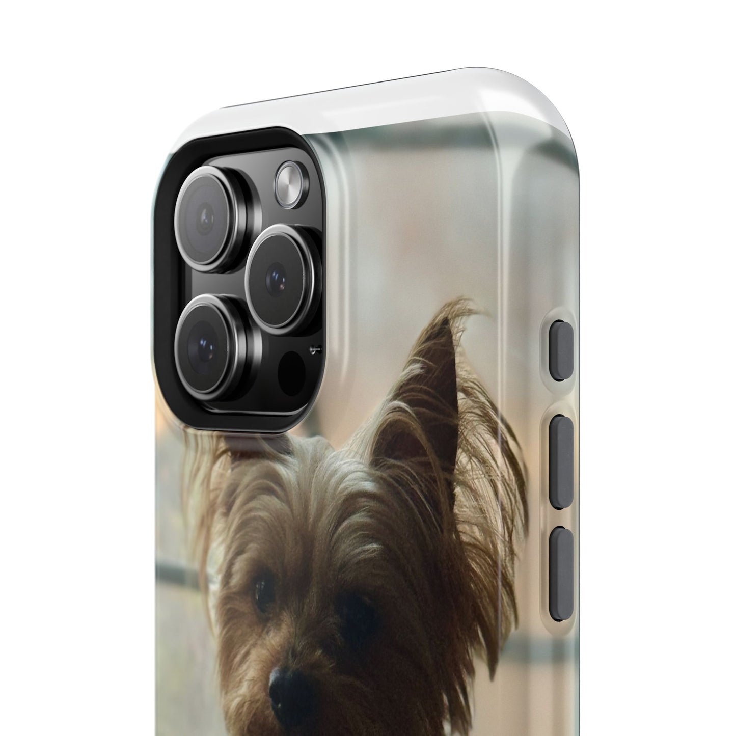 Yorkie Impact-Resistant Phone Cases