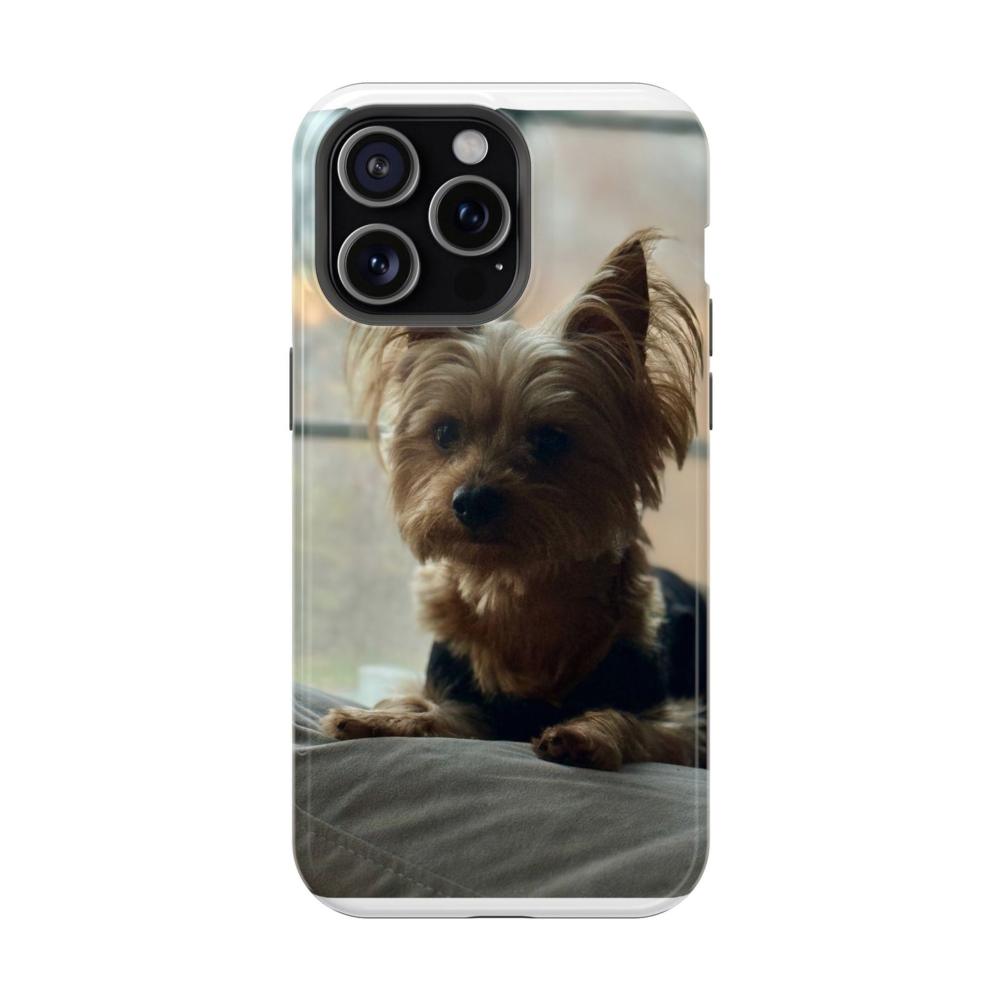 Yorkie Impact-Resistant Phone Cases