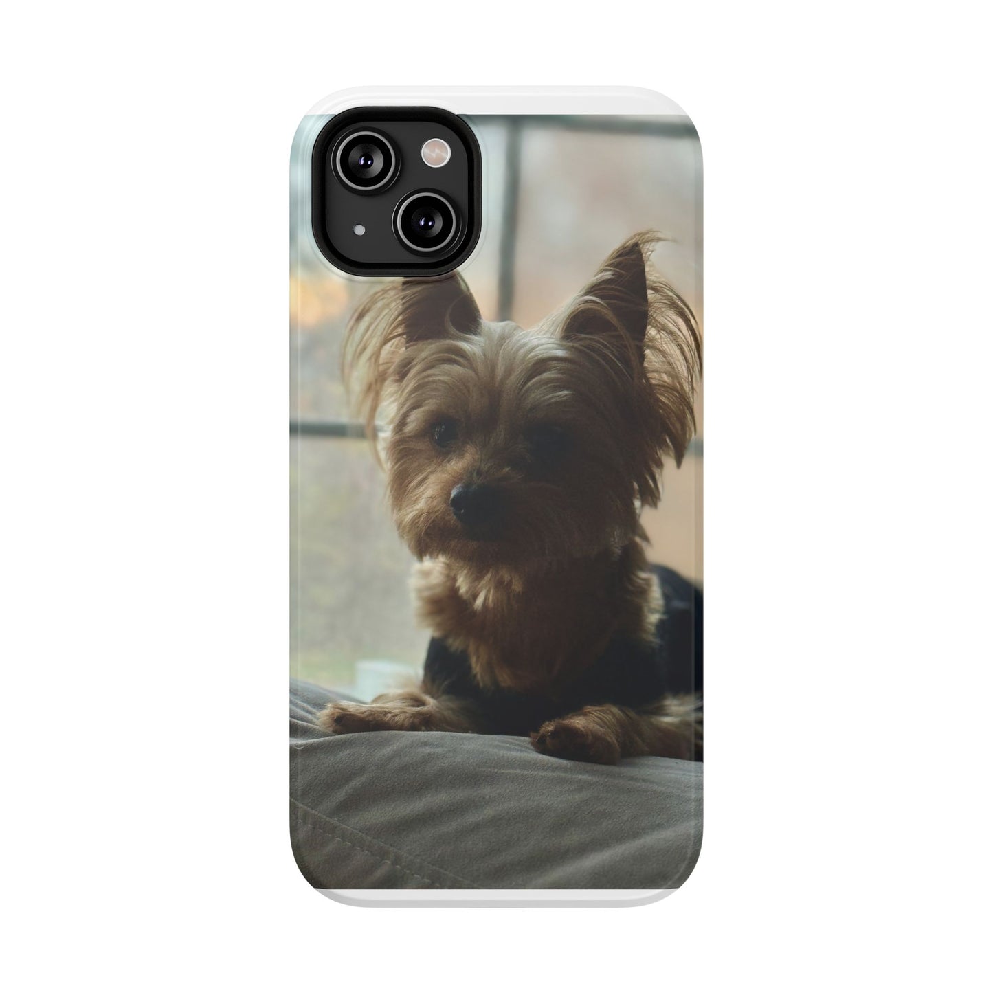 Yorkie Impact-Resistant Phone Cases