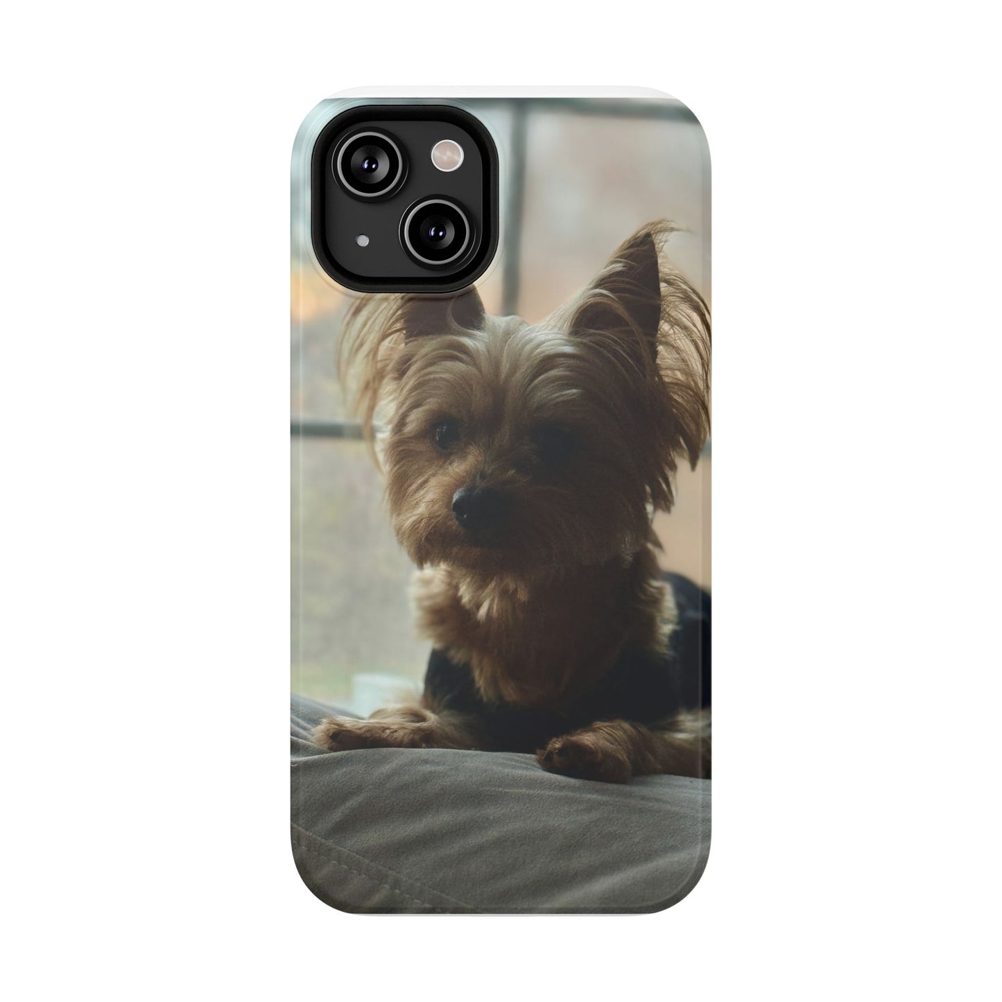 Yorkie Impact-Resistant Phone Cases