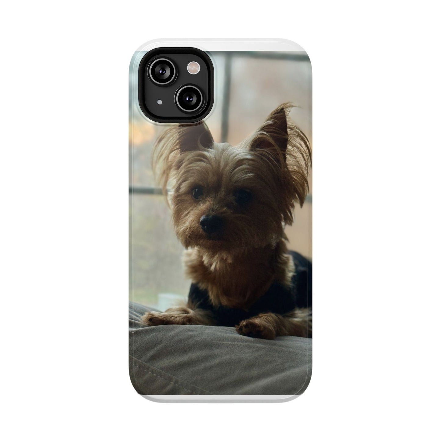 Yorkie Impact-Resistant Phone Cases